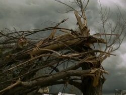 Widespread Damage And Casualties After Tornadoes Rip Through South Stock Footage