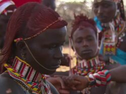 Maasai Ceremony - Group of young warriors dressing their hair, WITH AUDIO Stock Footage