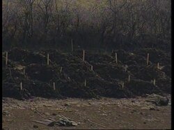 Yugoslavia - Latest situation since fighting News Clip