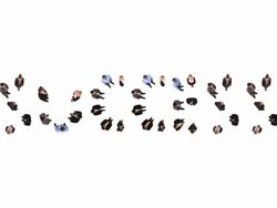 HD: Promoting Success Stock Footage