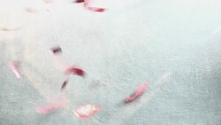 Heart symbol, love, confetti, revers Stock Footage