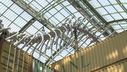 Chinese artist creates vast installation in Grand Palais News Clip