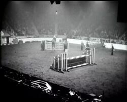 ""HORSE OF THE YEAR"" SHOW News Clip