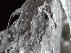 MS Melting icicles at Breitachklamm canyon in winter at AllgÃƒÂ¤u Alps / Oberstdorf, Bavaria, Germany  Stock Footage