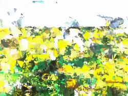 series transcendental fields : from provence, bright (TRANSITION) Stock Footage