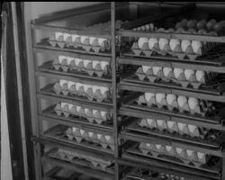 THE COLD WAR News Clip