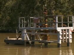 Capped oil platform in the Louisiana Bayou / Avery Island Stock Footage