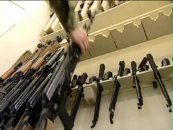 Fire-arms use. Stock Footage