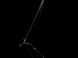 T/L Garden Spider spins orb web - spins framework, black background, runs up and down in and out of view Stock Footage