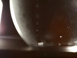 Tiny Bubbles Stock Footage