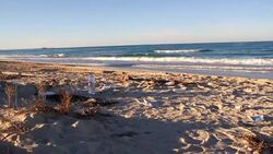 Briton, New Zealander found shot dead in western Libya Instructional Video