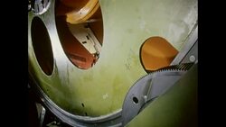 News Item (92d6c7a9-344c-25a3-945c-8c0c75911f22) News Clip