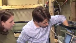 Electric Fish Charges Up Research On Animal Behavior Instructional Video