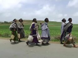 Afar women carrying loads on their backs walking alongside a road Stock Footage
