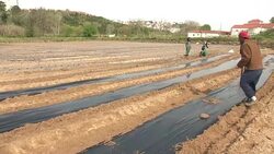 CLEAN : Portugals prisons dig deep for food bank needy News Clip