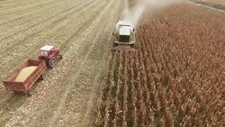 Harvester Work on Cornfield Stock Footage