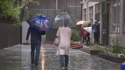 CLEAN : Japanese voters brave torrential rain to vote News Clip