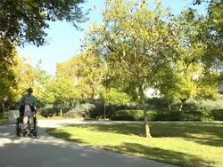 Two women HD720P video with wheelchair Stock Footage