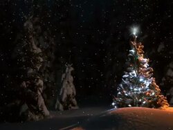 HD MONTAGE: New Year Card Stock Footage