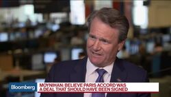 Bank of America CEO Moynihan Sees 'Solid' Trading Results News Clip