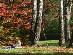 HD: Relaxing In Nature Stock Footage