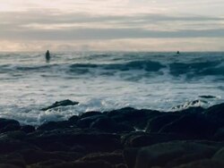Surfer Stock Footage