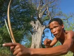 Bush people hunting Stock Footage