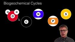 Biogeochemical Cycles Instructional Video