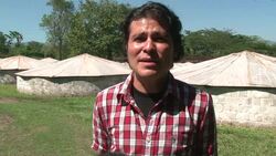 Optimal conditions help endangered captive crocodiles to breed News Clip