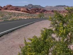 Valley of Fire desert roadside Stock Footage