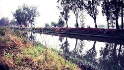 Flowing River Stock Footage