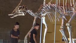 CLEAN : Mongolia seeks to crush fossil black market News Clip