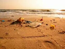 Dolly Shot: Garbage Pollutions on Dirty Beach Stock Footage