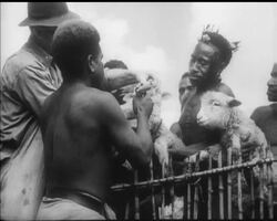 MODERN FARMING METHODS HELP NATIVES News Clip