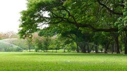 Group of People Relaxing in Green Park Stock Footage