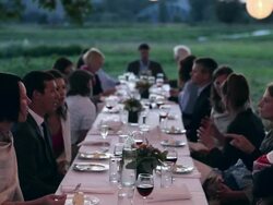 TU MS Friends and family dining outside in field under tree with lanterns at sunset/Washington, USA Stock Footage