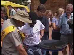 SOUTH AFRICA: JOHANNESBURG ZOO HOLDS SECOND ANNUAL BUGFEST News Clip