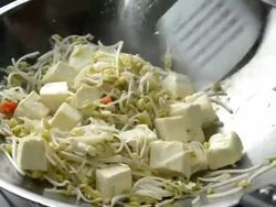 Stir Fried Bean Sprouts and Tofu Stock Footage