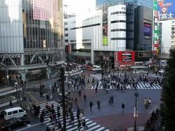 The busiest pedestrian crossing in the World. Shibuya  district Tokyo, Japan Stock Footage