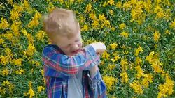 boy sneezing Stock Footage