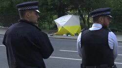 UK Police: American Killed in Knife Attack News Clip