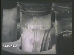 1935: RESEARCH LABORATORY: VS Various jars lined up w/ motor cooling solution (possibly other liquids as well, such as water) & metal strips during corrosion test, air tubes creating circulation liquid. Instructional Video