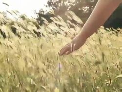 Freedom Stock Footage