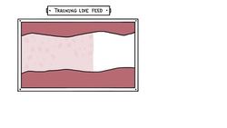 Why Are There Dangerous Ingredients in Vaccines Instructional Video