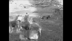 CAN826 SUPPLIES AND AID ARRIVE IN TURKEY FOR VICTIMS OF THE RECENT EARTHQuAKE Instructional Video