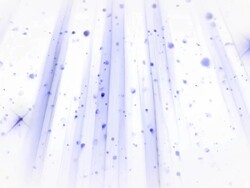 Glitter Streaks Background Loop Stock Footage
