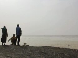 Three men by the river Stock Footage
