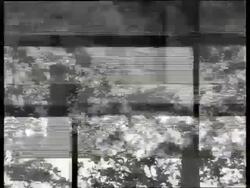 B/W Civil War veterans inspecting Surrender Monument / Vicksburg, Mississippi / NO SOUND Stock Footage