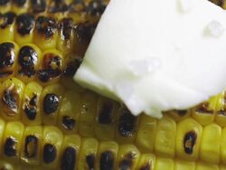 Corn on the Cob Stock Footage