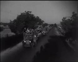 Spanish Harvest. News Clip